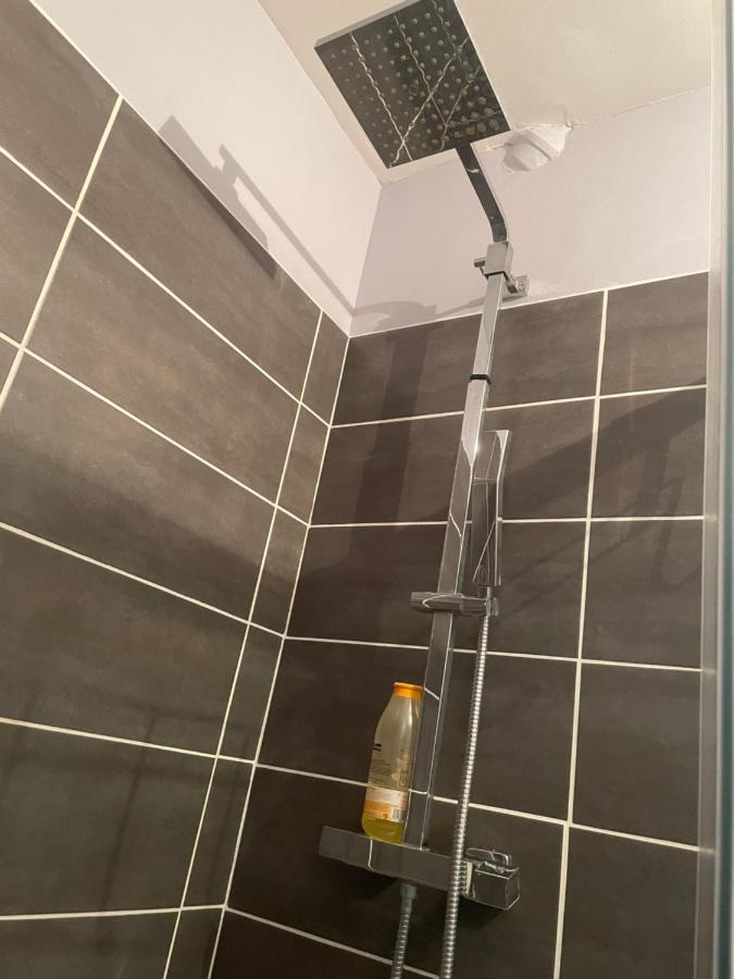 דיג'וין Appartement Rdc Calme En Hyper Centre-Ville מראה חיצוני תמונה